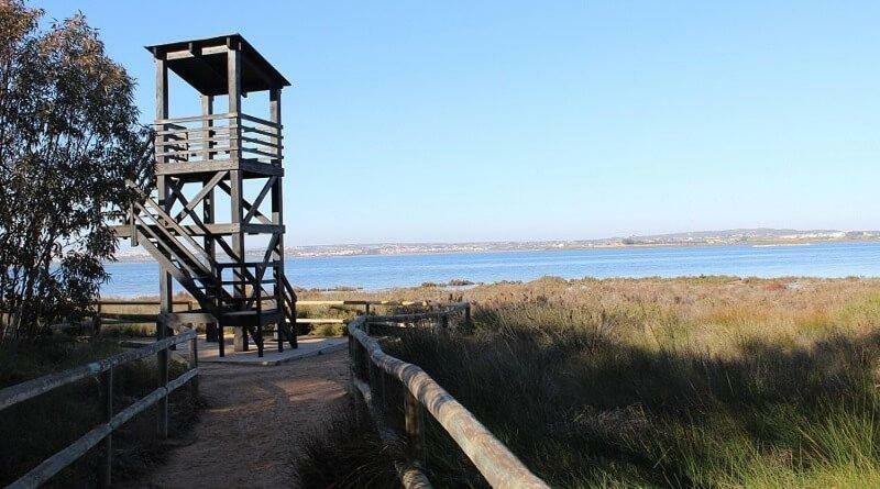 Apartamento Vistas La Mata Playa Экстерьер фото